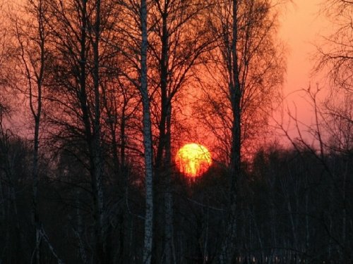 Cчастье охотничьих встреч