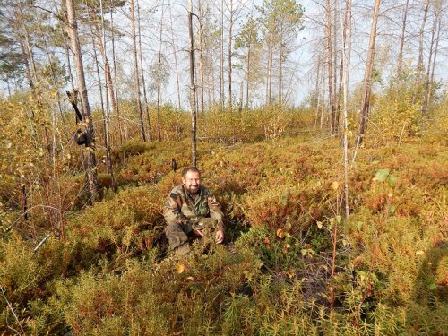 У дальнего кордона