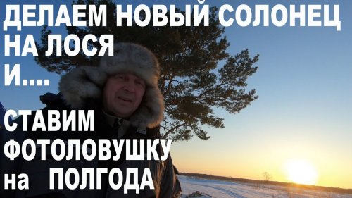 Делаем новый солонец на лося и... ставим фотоловушку на полгода