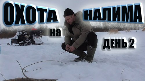 Охота на налима река Чулым Снегоход Тайга Варяг 550 рыбалка на жерлицы ловим ерша