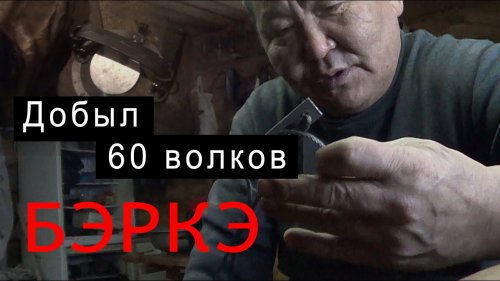 Волчатник из Якутии. Добыто 60 волков .