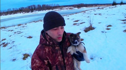 БУДУЩАЯ ОХОТНИЦА! ВЗЯЛ СОБАКУ ДЛЯ ОХОТЫ. ЗАПАДНО-СИБИРСКАЯ ЛАЙКА. ЖИЗНЬ В ДЕРЕВНЕ. КОМИ РЕСПУБЛИКА.
