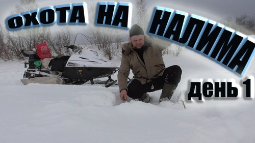 Снегоход тайга варяг 550 река Чулым рыбалка ерш жерлицы глухозимье