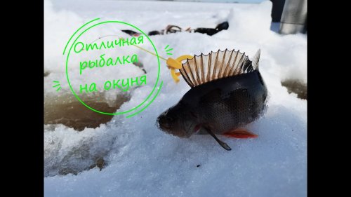 Рыбалка на окуня.Куча рыбы!!!