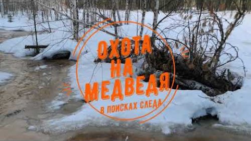 Охота на медведя.  В поисках следа.