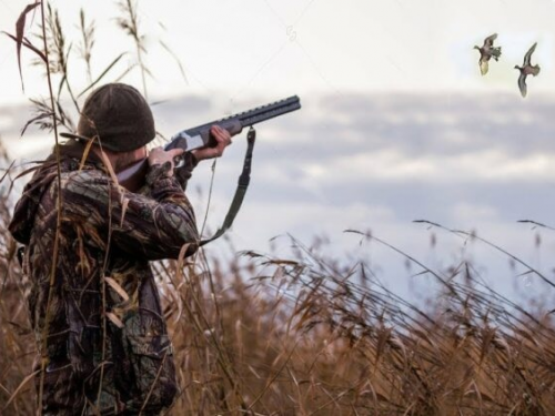 Весенняя охота в Новосибирской области откроется согласно правил