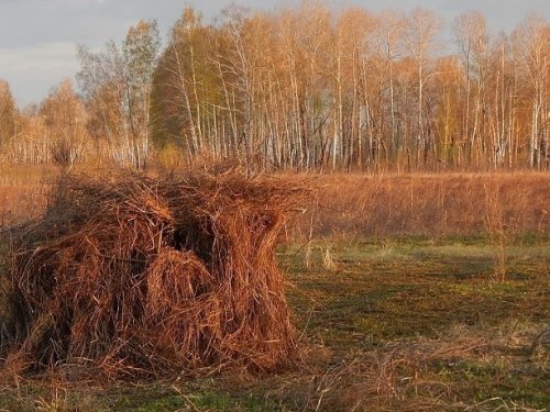 Чтоб догорел шалаш скорей