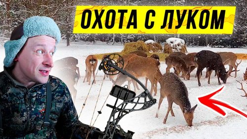 ОХОТА с луком на оленя. Блочный ЛУК Mathews VXR 28. Открытие сезона охоты 2021.