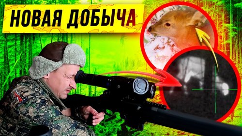 Реальная Охота Зимой! Ходовая охота на оленя 2020