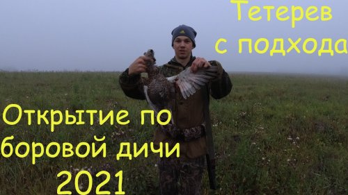 Открытие охоты на боровую 2021 в Сибири ! Встретили ЛОСЯ!