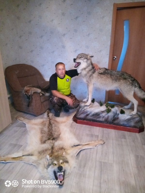 Волчки.