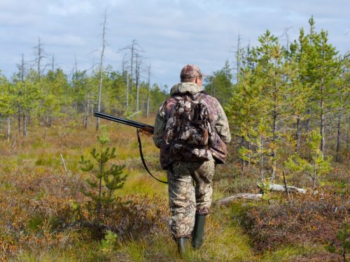 В Томской области установлены сроки осенней и зимней охоты 2021-2022