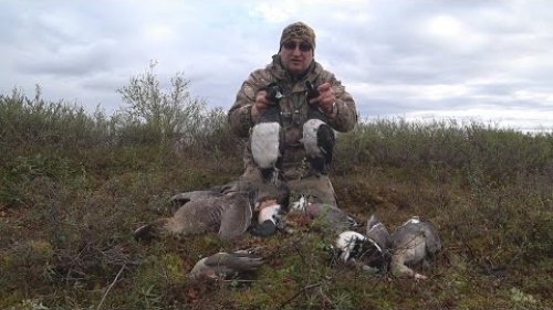 Охота на гусей и уток на крайнем севере в тундре.