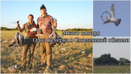 Охота на вяхиря 2021 / Много вяхиря в Смоленской области / Одна вечёрка вдвоем