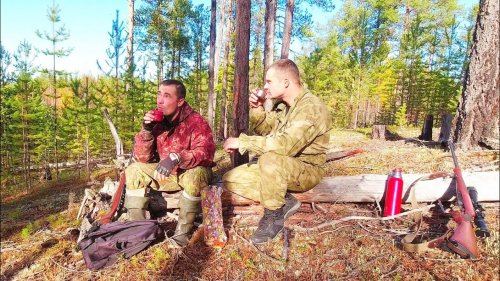 ОХОТА НА ГЛУХАРЯ И РЯБЧИКА / РАНЕВОЙ КАНАЛ ОТ 22 LR. ОХОТА С НАРЕЗНОГО ОРУЖИЯ НА БОРОВУЮ ДИЧЬ. КОМИ