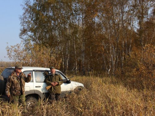 Мне бы в осень - забыться во сне