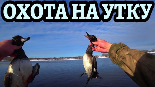 Удачно закрыл сезон по Утке, а на дворе уже Зима)