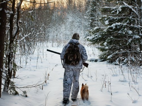 В Новосибирской области нашли заблудившегося охотника