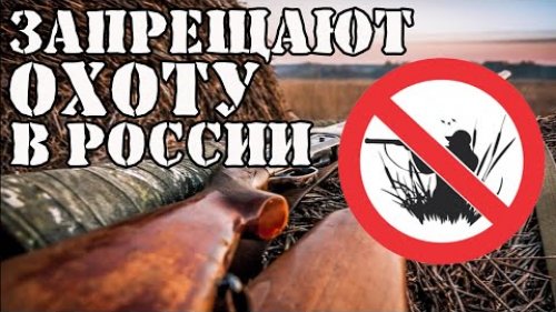 Запрет охоты