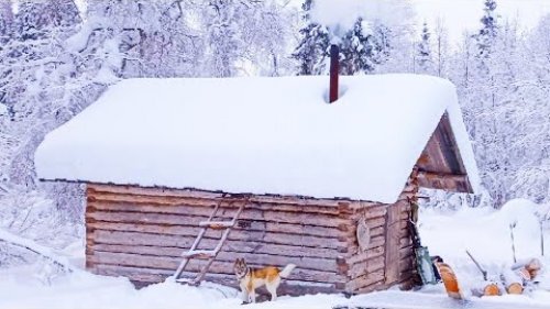 ЖИВУ В ВЕТХОЙ ИЗБЕ / СЕГОДНЯ НАТКНУЛСЯ НА БОЛЬШУЮ СТАЮ КОСАЧЕЙ / ОХОТА НА БОРОВУЮ ДИЧЬ В ГЛУХОЗИМЬЕ.