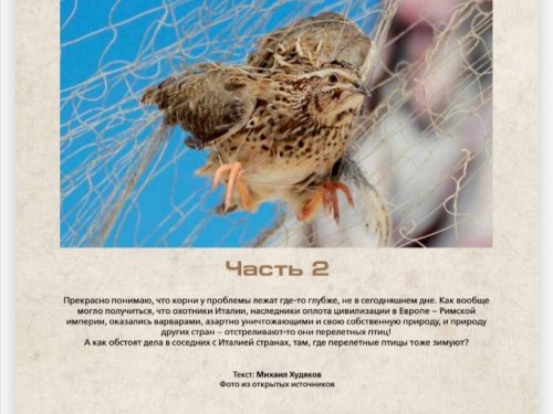 Корабль дураков 2