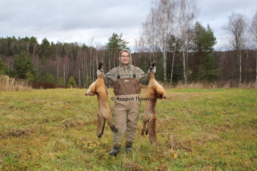 2021 12 4dae1d441fc9481fbdd4ebd2b505a675 rsu 1000 800 Что означает выражение с полем у охотников