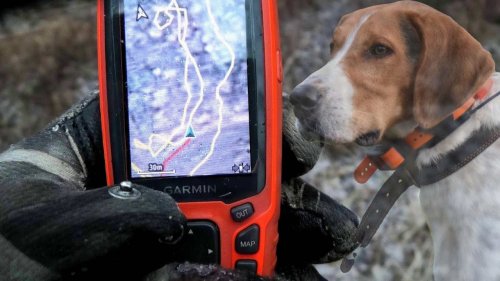 Современные системы навигации для охотников с функцией отслеживания собак.