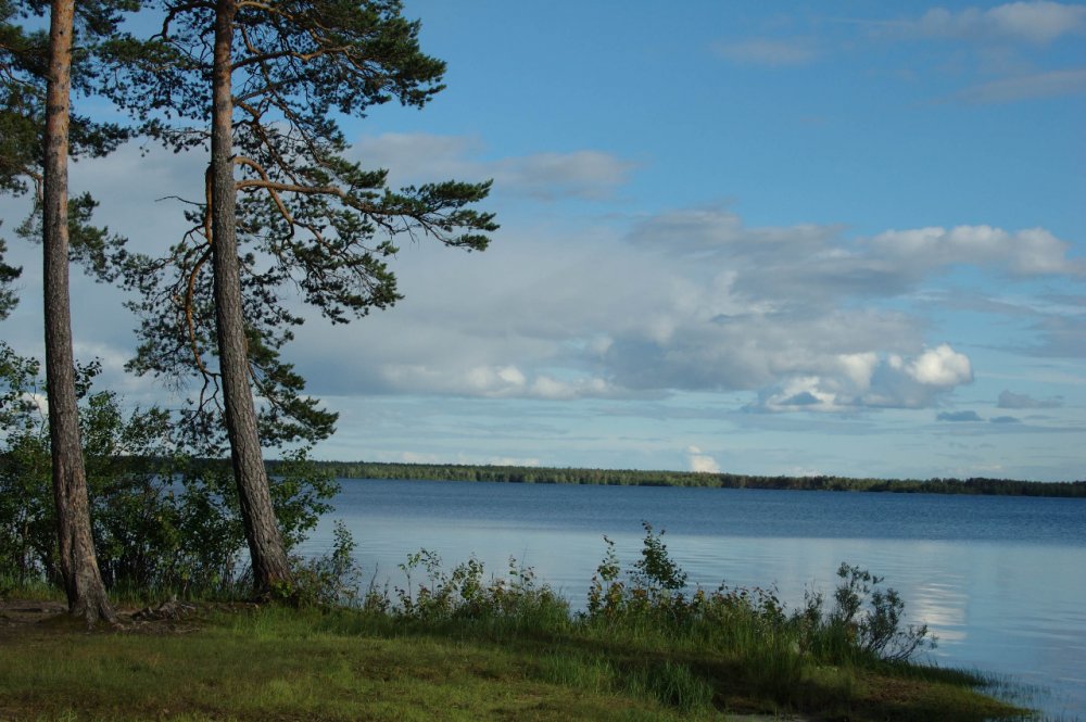 серега охотник что это было. Смотреть фото серега охотник что это было. Смотреть картинку серега охотник что это было. Картинка про серега охотник что это было. Фото серега охотник что это было серега охотник что это было. Смотреть фото серега охотник что это было. Смотреть картинку серега охотник что это было. Картинка про серега охотник что это было. Фото серега охотник что это было