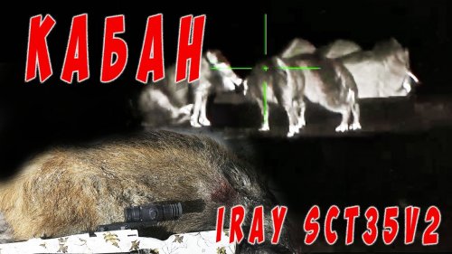 Охота на кабана с тепловизором iray sct35v2
