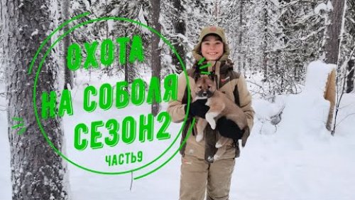 Охота на соболя в Сибири. Часть вторая - fitdiets.ru