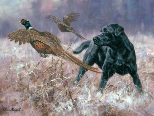 «Хозяева тайги»: королевская охота на фазанов в центре Сибири