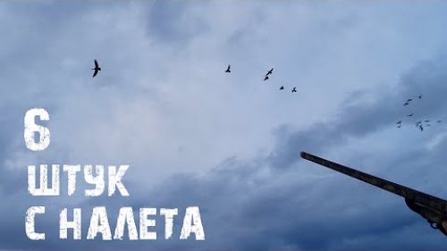 Охота на гуся!!! МОРЕ / Супер выстрел от Кацарубы - 6 ШТУК В ОДНОГО С НАЛЕТА
