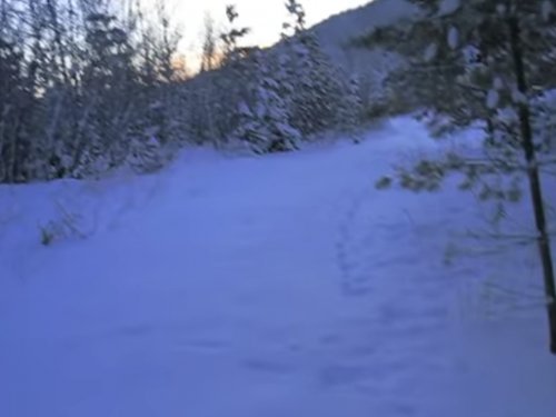 В краю непуганых топтыгиных.