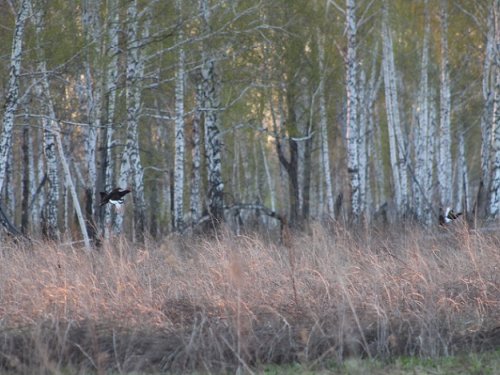 Чем счастлива душа