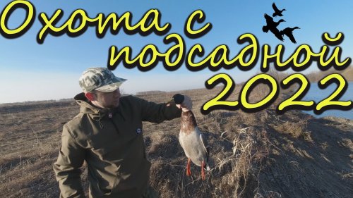Охота с подсадной уткой. Открытие охоты 2022г в Сибири.