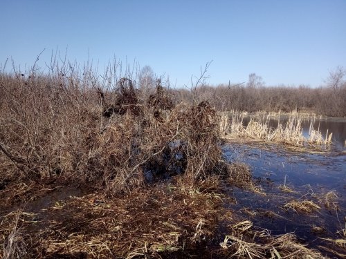 Скрадок готов