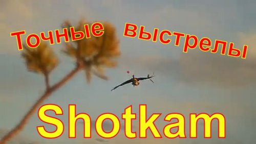 Точные выстрелы снятые на Shotkam #3