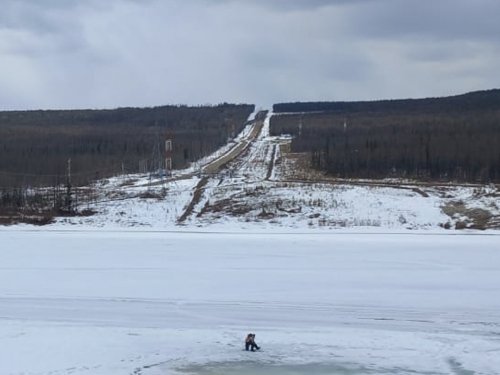 В краю непуганых топтыгиных.