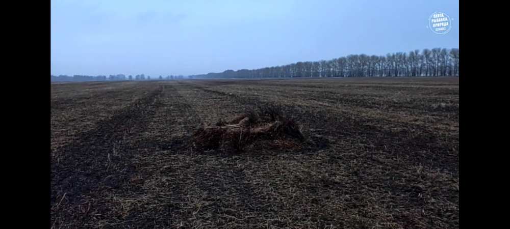 Делаем скрадок своими руками