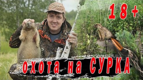 Охота на Сурка в Новосибирской области.