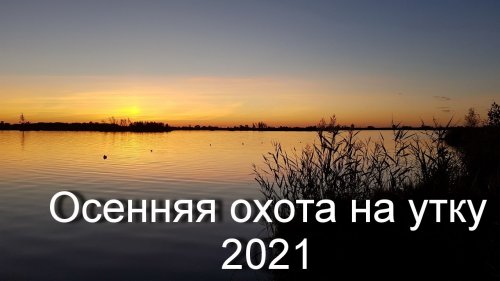 Небольшие зарисовки с осенней охоты на утку 2021 года