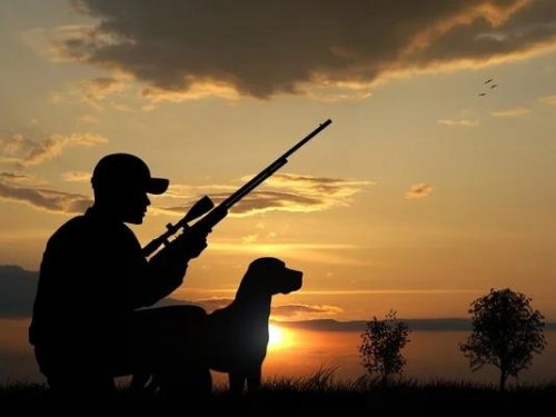 В Новосибирской области зарегистрированы 111 частных охотничьих хозяйств