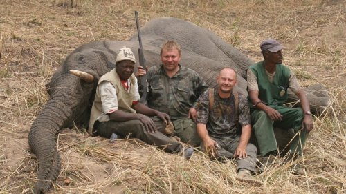 Охота на слона в Камеруне. Охотничьи истории Алексея Попова