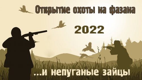 Открытие охоты на фазана 2022 и непуганые зайцы.
