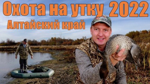 Охота на утку 2022 / Охота с чучелами / Алтайский край