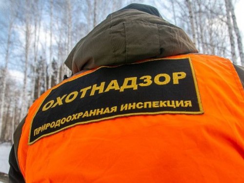 Новосибирские охотники смогут получать разрешения через Госуслуги в 2023 году
