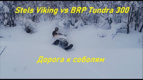 Stels Viking vs BRP tundra 300. Путь к соболям.