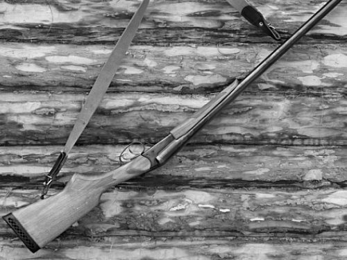 Браконьера с пятью мертвыми косулями задержали в Новосибирской области