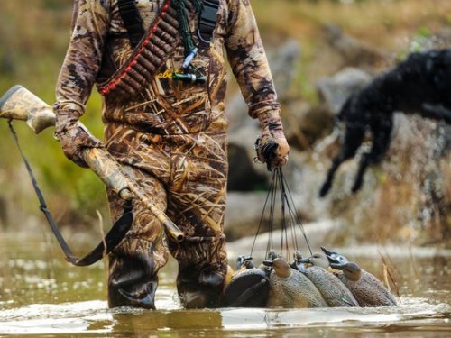 В Томской области проживает более 50 тысяч охотников