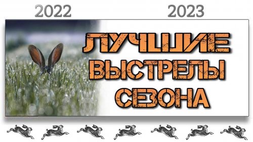 Охота на зайца. Лучшие выстрелы сезона 2022-2023